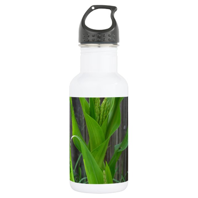 Bouteille D'eau En Acier Inoxydable Corn Stalk (Devant)