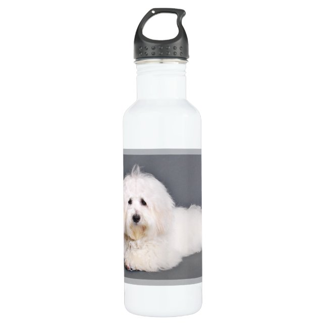Bouteille D'eau En Acier Inoxydable Coton de Tulear - Joci (Devant)