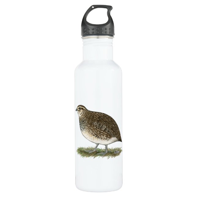 Bouteille D'eau En Acier Inoxydable Coturnix Quail (Devant)