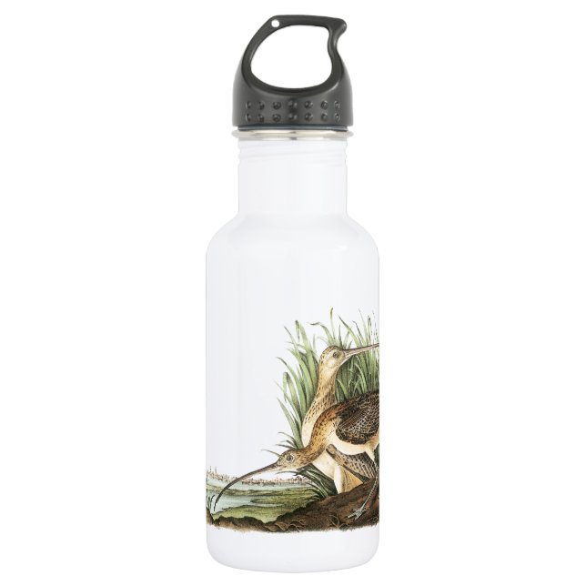 Bouteille D'eau En Acier Inoxydable Courlis à long bec par Audubon (Devant)