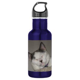Bouteille D'eau En Acier Inoxydable Créez votre propre petit somme de Souvenir-Chat