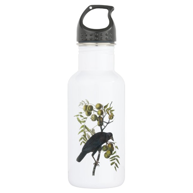Bouteille D'eau En Acier Inoxydable Crow américain par Audubon (Devant)