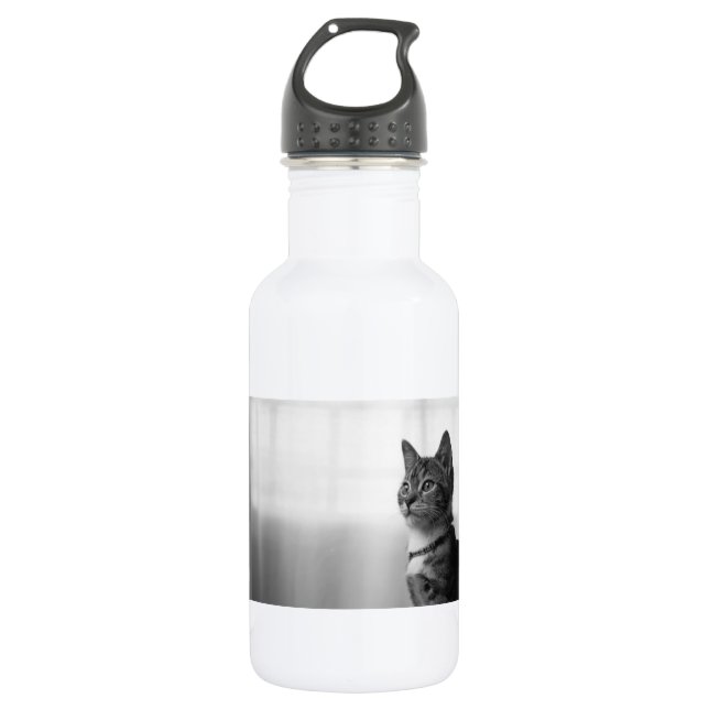 Bouteille D'eau En Acier Inoxydable Cute chat (Devant)