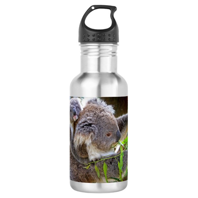 Bouteille D'eau En Acier Inoxydable Cute Koalas (Devant)