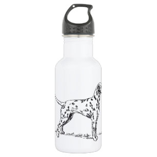 Bouteille D'eau En Acier Inoxydable Dalmatien