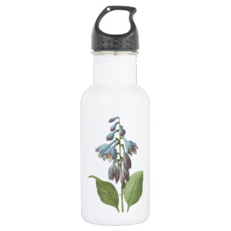 Bouteille D'eau En Acier Inoxydable daylily (Hemerocallis caerulea) par Redouté