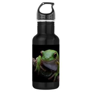 Bouteille d'eau en acier inoxydable de grenouille