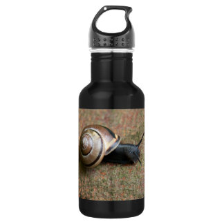 Bouteille D'eau En Acier Inoxydable Escargot 32 oz