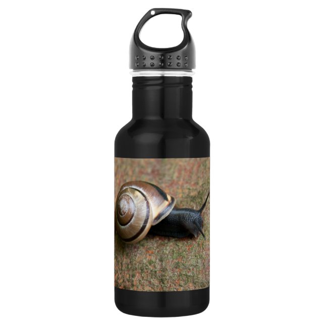 Bouteille D'eau En Acier Inoxydable Escargot 32 oz (Devant)