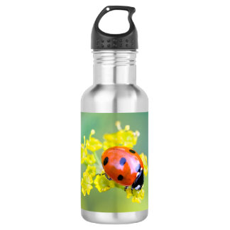 Bouteille D'eau En Acier Inoxydable femme au sommet