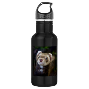 Bouteille D'eau En Acier Inoxydable Ferret