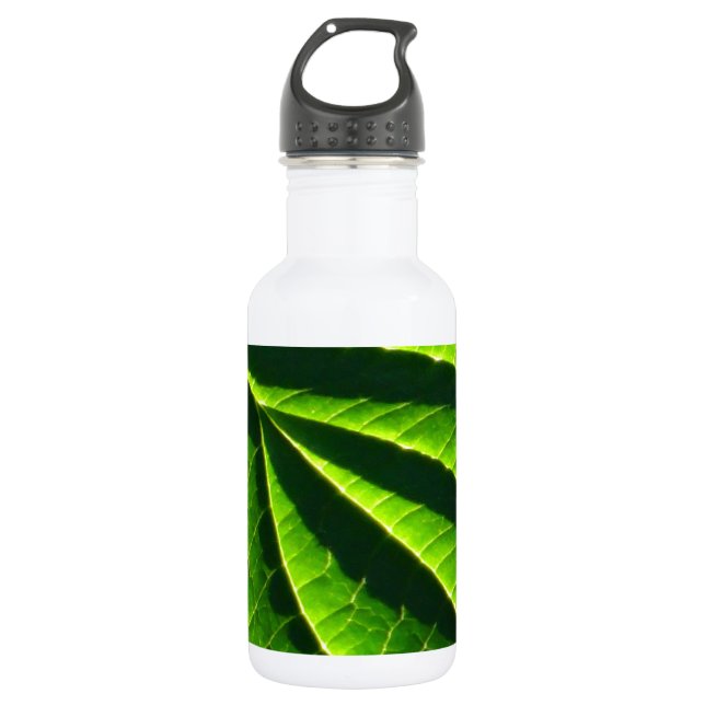 Bouteille D'eau En Acier Inoxydable feuille verte cool (Devant)