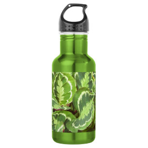 Bouteille D'eau En Acier Inoxydable Feuilles verts