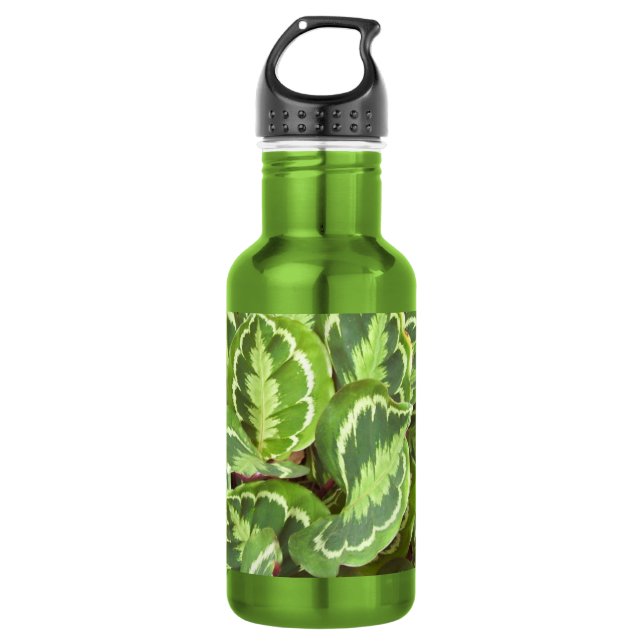 Bouteille D'eau En Acier Inoxydable Feuilles verts (Devant)