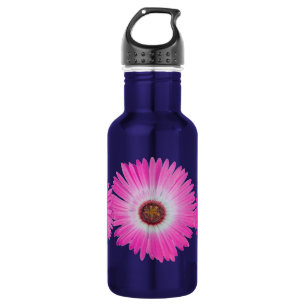 Bouteille D'eau En Acier Inoxydable Fleur de marguerite de Gerber rose vif en pleine f