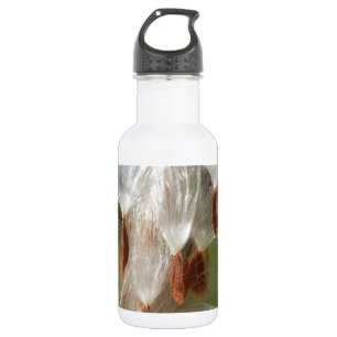 Bouteille D'eau En Acier Inoxydable Flore vintage et faune Milkweeds Flottants.jpg