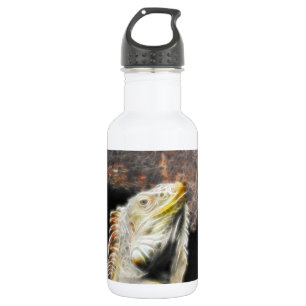 Bouteille D'eau En Acier Inoxydable Fracguane