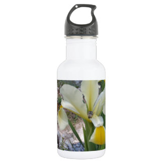Bouteille D'eau En Acier Inoxydable Iris blanc et scarabée
