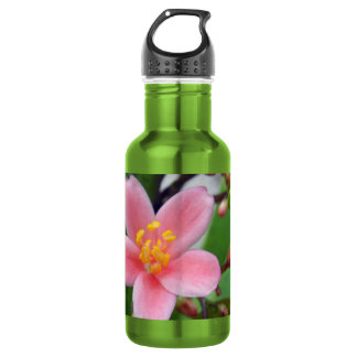 Bouteille D'eau En Acier Inoxydable Jatropha Fleur et bourgeons de fleurs
