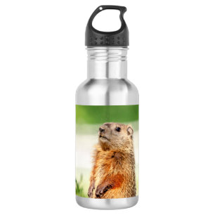 Bouteille D'eau En Acier Inoxydable Jeune marmotte
