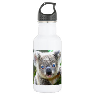 Bouteille D'eau En Acier Inoxydable Koala Bears
