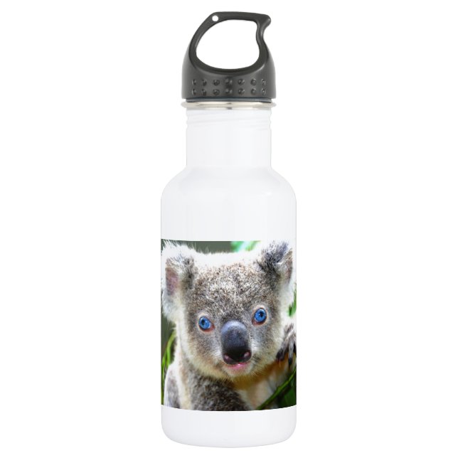 Bouteille D'eau En Acier Inoxydable Koala Bears (Devant)