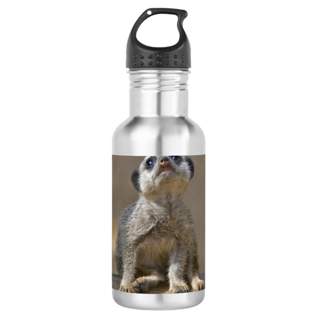 Bouteille D'eau En Acier Inoxydable Kute Kat (Devant)