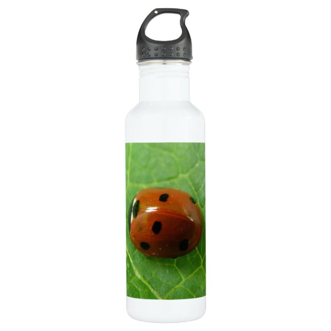 Bouteille D'eau En Acier Inoxydable Ladybug (Devant)