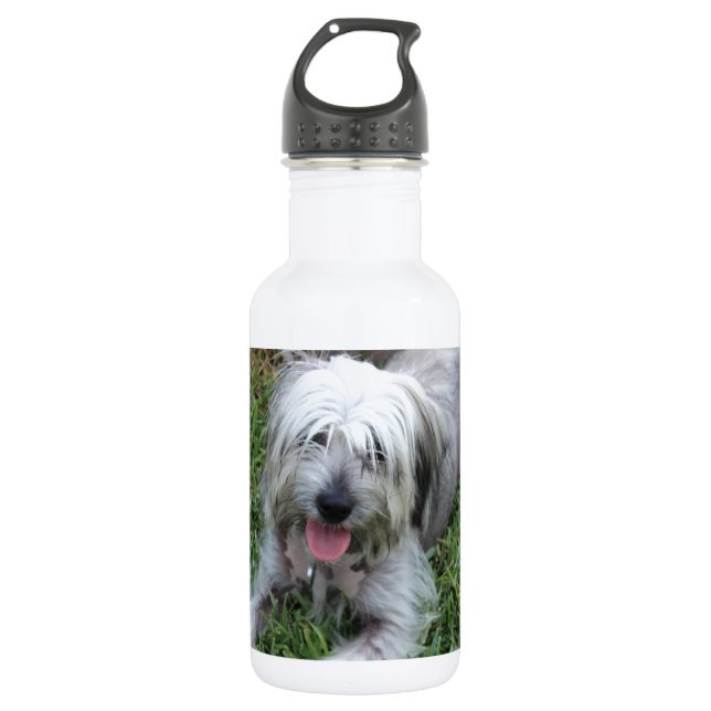Bouteille D'eau En Acier Inoxydable Lazy Mutt (Devant)