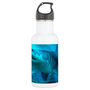 Bouteille D'eau En Acier Inoxydable Le plus grand requin