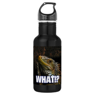 Bouteille D'eau En Acier Inoxydable Le Quoi ! ? Iguana
