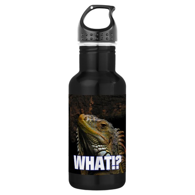 Bouteille D'eau En Acier Inoxydable Le Quoi ! ? Iguana (Devant)