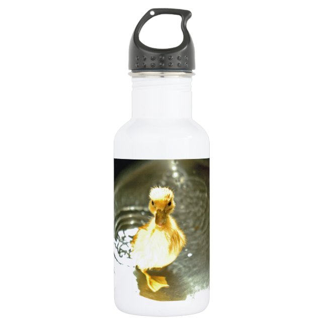 Bouteille D'eau En Acier Inoxydable Les canards ont un bain. (Devant)