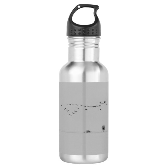 Bouteille D'eau En Acier Inoxydable Les oiseaux d'hiver (Devant)