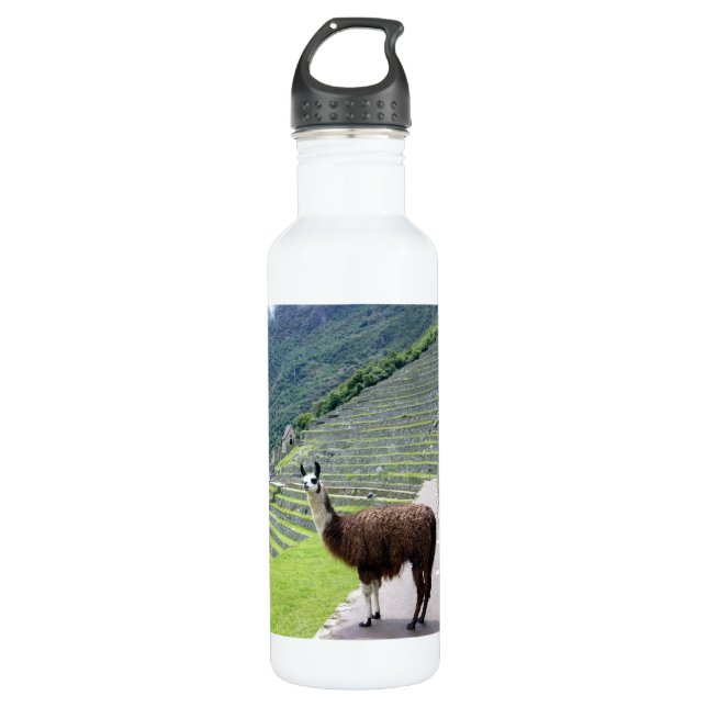Bouteille D'eau En Acier Inoxydable llama (Devant)
