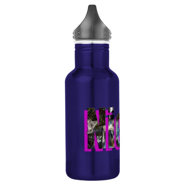 Bouteille D'eau En Acier Inoxydable Logo Nicole De Koalas, (Gauche)