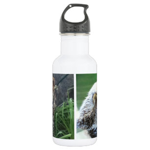 Bouteille D'eau En Acier Inoxydable Loutre de mer et petit animal de guépard