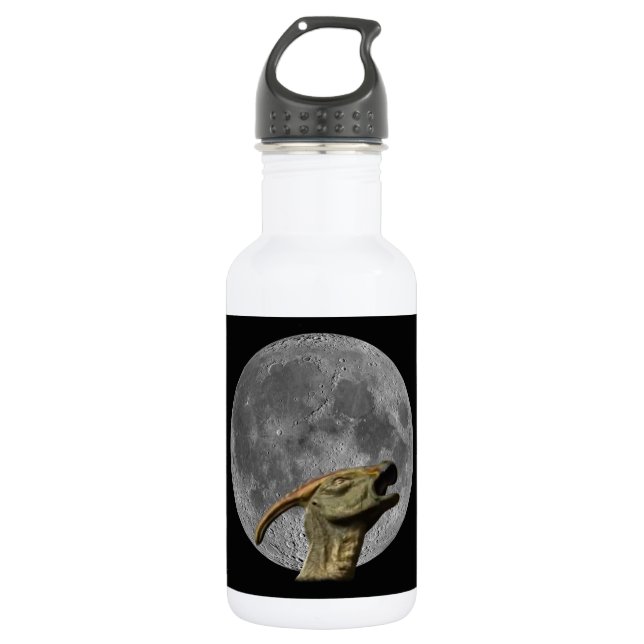Bouteille D'eau En Acier Inoxydable Lune et Charonosaure (Devant)