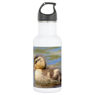 Bouteille D'eau En Acier Inoxydable Mallard Duckling