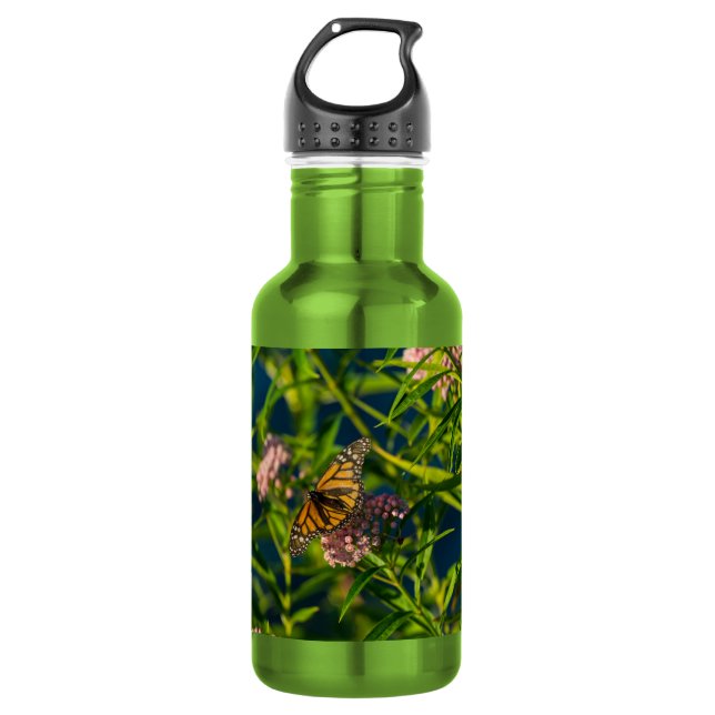 Bouteille D'Eau En Acier Inoxydable Monarque Et Mi (Devant)