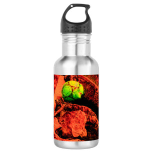Bouteille D'eau En Acier Inoxydable mosquitus