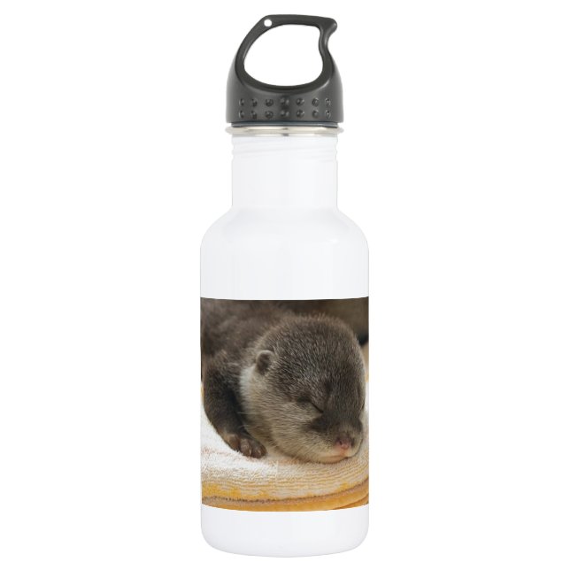 Bouteille D'eau En Acier Inoxydable Otter endormi (Devant)