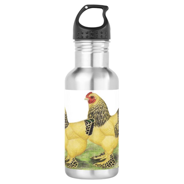 Bouteille D'eau En Acier Inoxydable Paire Brahma Buff (Devant)