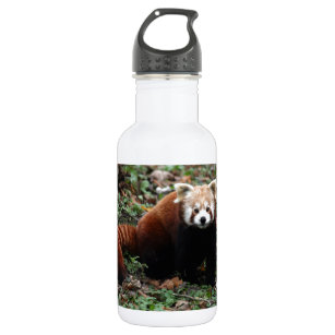 Bouteille D'eau En Acier Inoxydable Panda rouge
