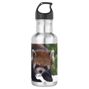 Bouteille D'eau En Acier Inoxydable Panda rouge de vagabondage