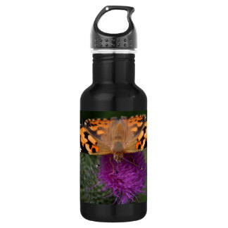 Bouteille D'eau En Acier Inoxydable Papillon dame peint 32 oz
