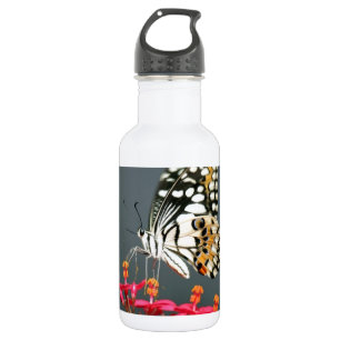 Bouteille D'eau En Acier Inoxydable Papillon noir et jaune blanc sur Fleurs roses