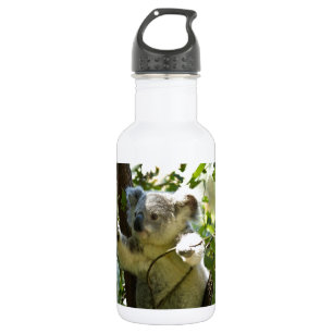 Bouteille D'eau En Acier Inoxydable Parc mignon de zoo de safari d'Aussi de koala à