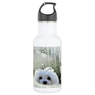 Bouteille D'eau En Acier Inoxydable Perce-neige le maltais