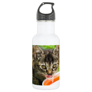 Bouteille D'eau En Acier Inoxydable Petit chaton boit dans un bol